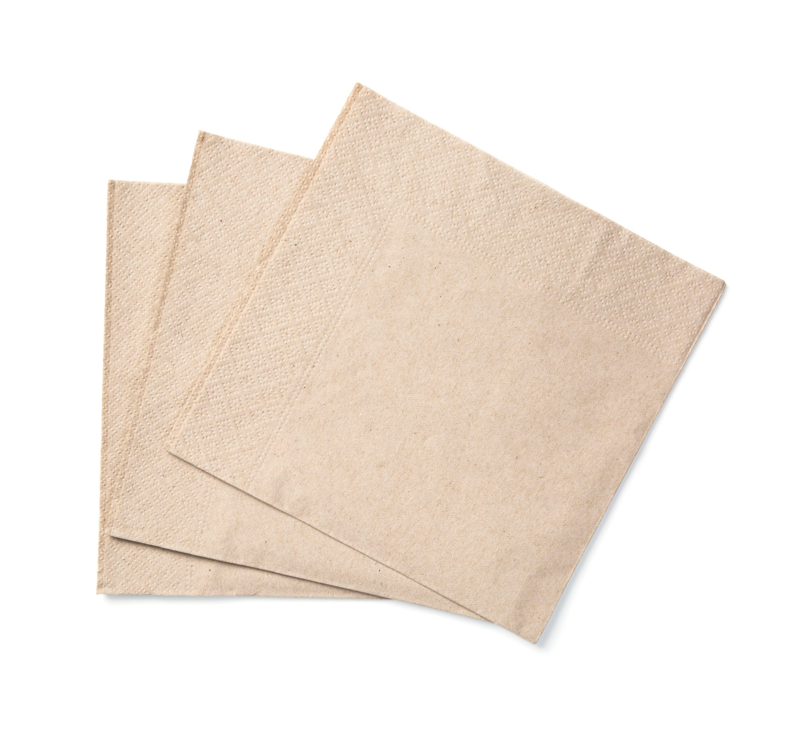 paper napkin